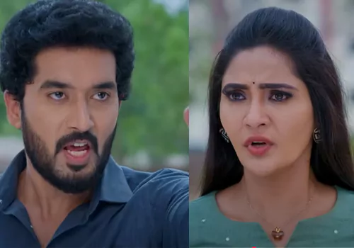 Karthika Deepam Episode 335