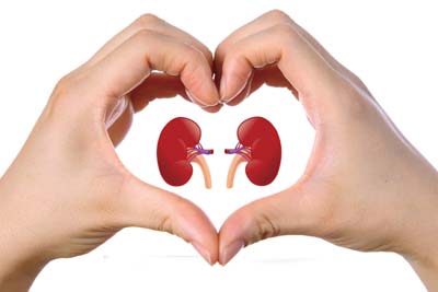 World Kidney Day
