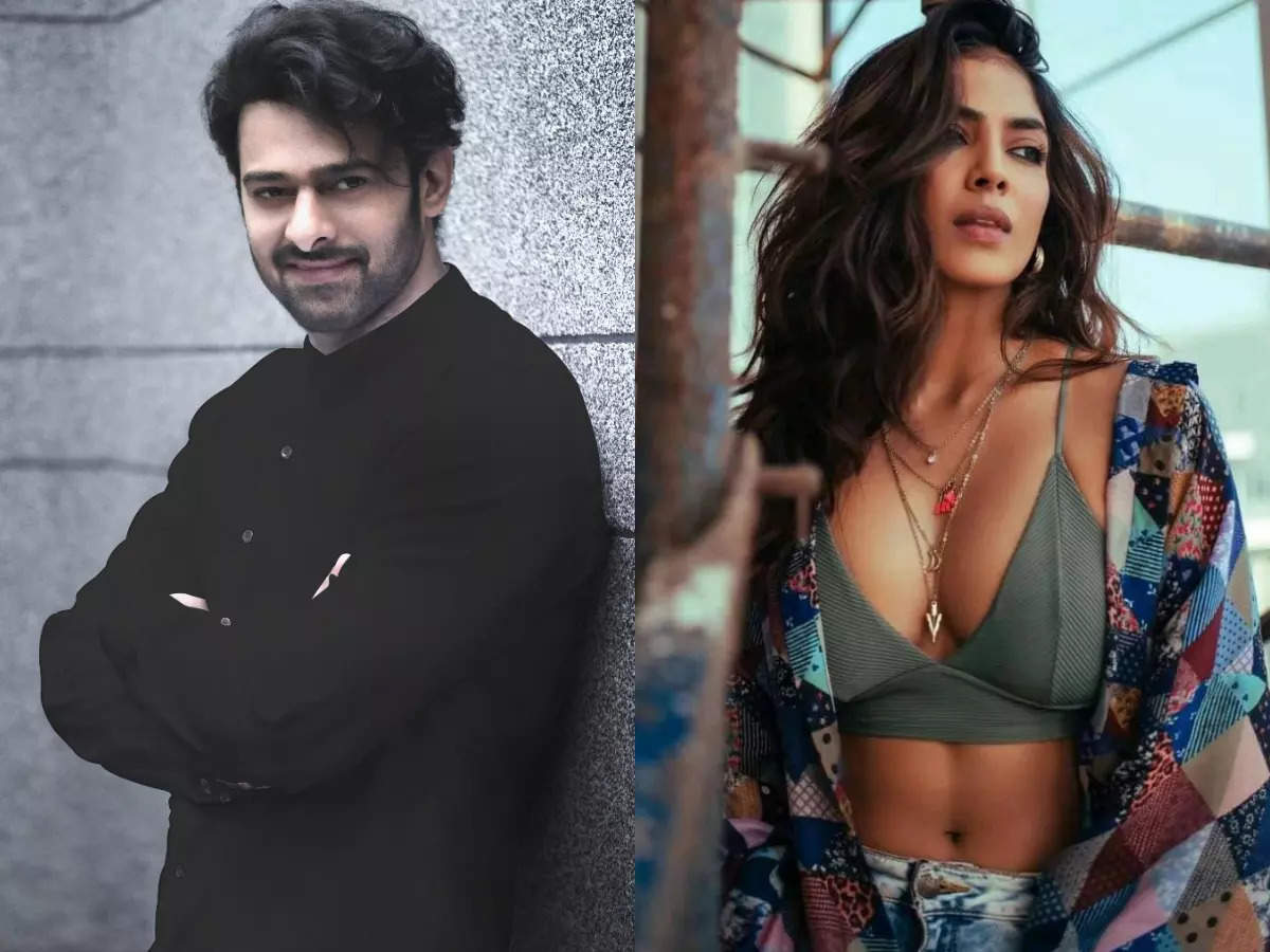 Malavika Mohanan Joins Prabhas and Maruthi project on?