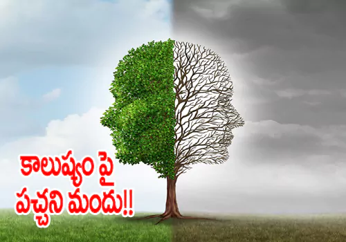 Green medicine on pollution
