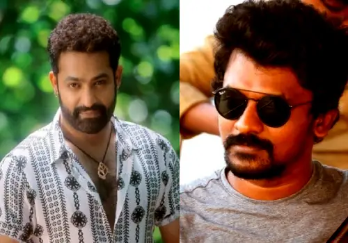 Will Nelson and NTR movie start next year? 