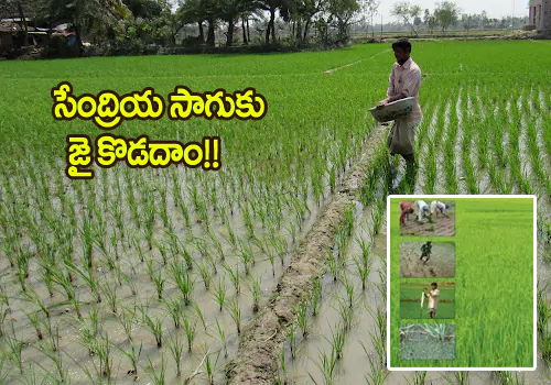 Organic farming