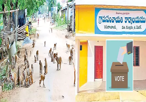 Panchayat Elections