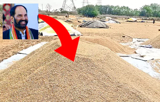 telangana government to be buy paddy