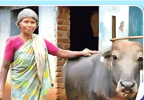 పాల వ్యాపారంలో కోట్లు గడిస్తూ... ఆదర్శంగా నిలుస్తున్న మహిళ!