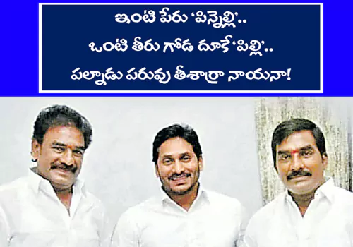 pinnelli brothers escape to hyderabad