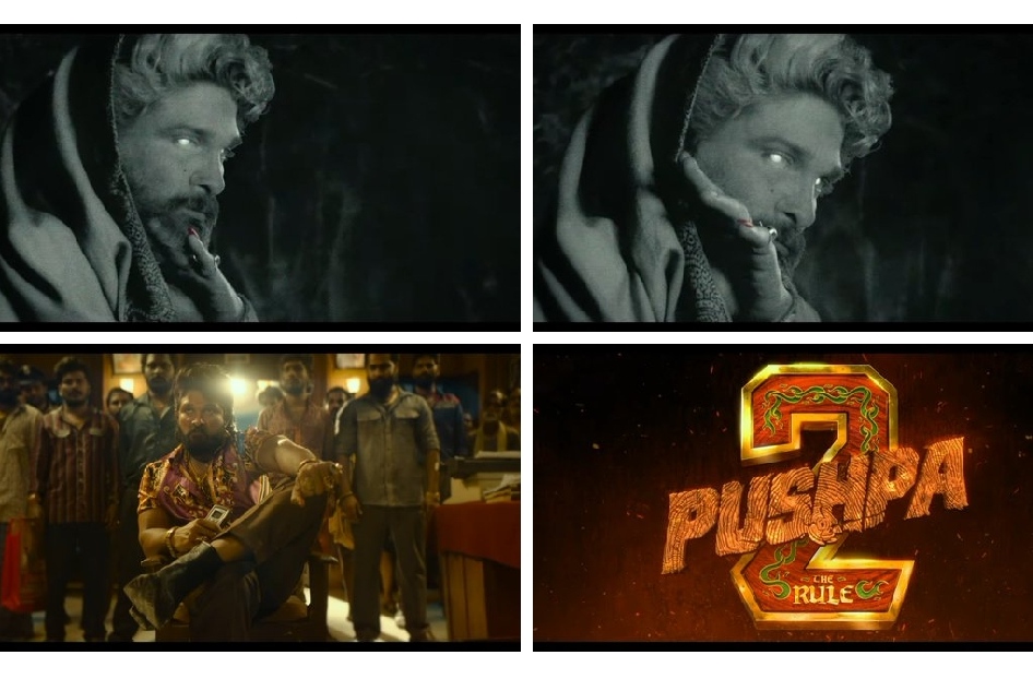 Goosebumps Guaranteed Concept Teaser of Pushpa 2