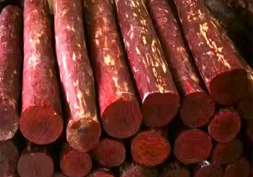 Red Sandalwood