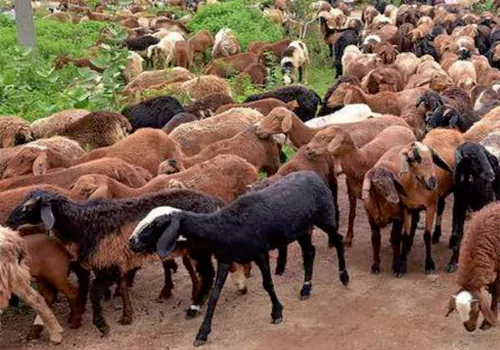 Medchal Malkajgiri District