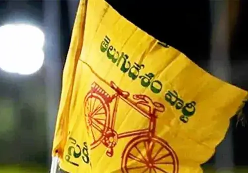 ban on surveys and opinion polls