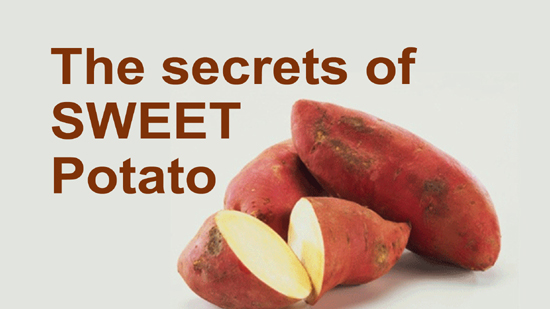 The secrets of  SWEET Potato 