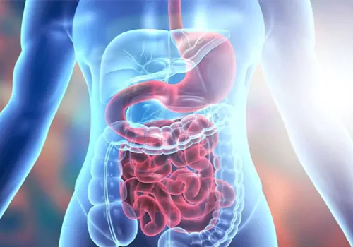  helthy digestive foods
