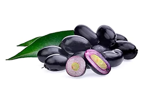 Health Benefits of Jamun Leaves