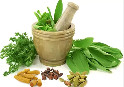How To Stay Healthy in Monsoons With Ayurveda