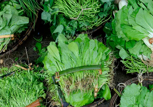 Eat Green Leafy Vegetables In Monsoon