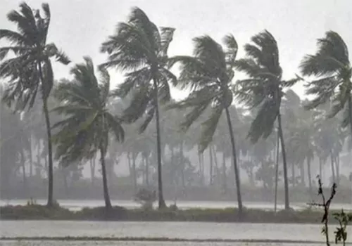 not impact cyclone in ap