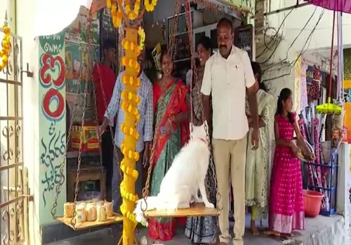 pet dog tulaabharam in medaaram