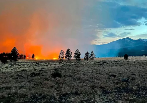 fire at new mexico