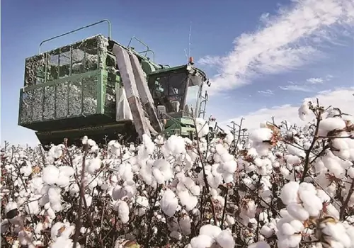Cotton production by country worldwide