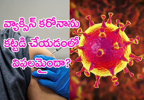 Vaccines cannot prevent new variant study