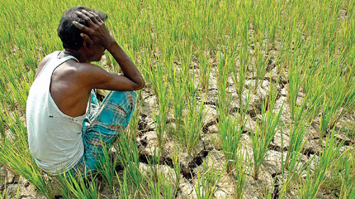 Weak Monsoon conditions