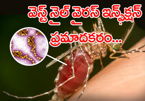 West Nile virus infection is dangerous