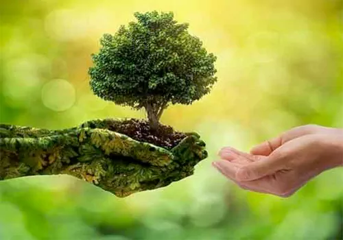 World Nature Conservation Day