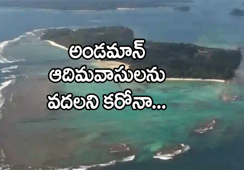 Andaman And Nicobar Islands coronavirus cases