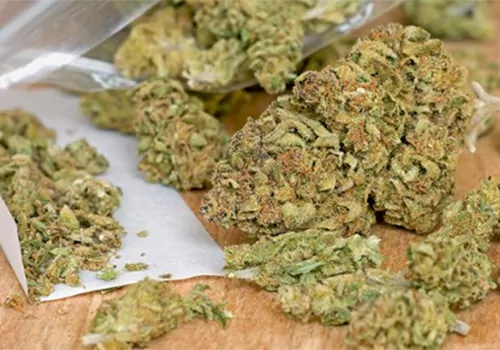 nc seiz over one lakh kilos ganja in ap last year