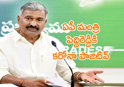ap minister peddireddy ramachandra reddy tested corona positive