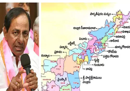 brs entry in ap after cheistmass