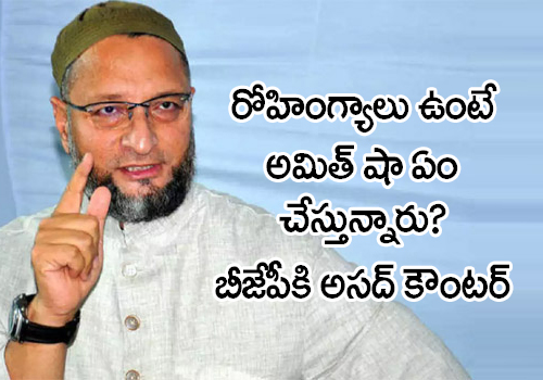 asaduddin owaisi slams bjp