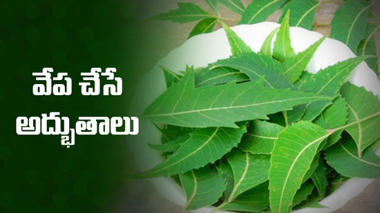 Benefits and uses of neem