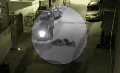 bengaluru four arrest