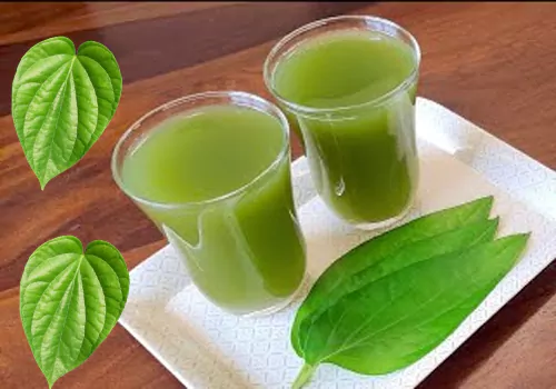 betel leaves juice health benefits