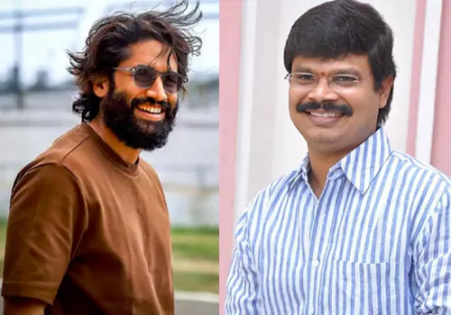 బోయపాటి శ్రీను దర్శకత్వంలో నాగ చైతన్య.. అక్కినేని మాస్ చూస్తారు..!