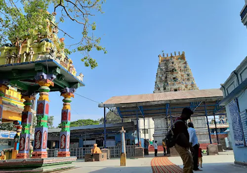 competition between heirs