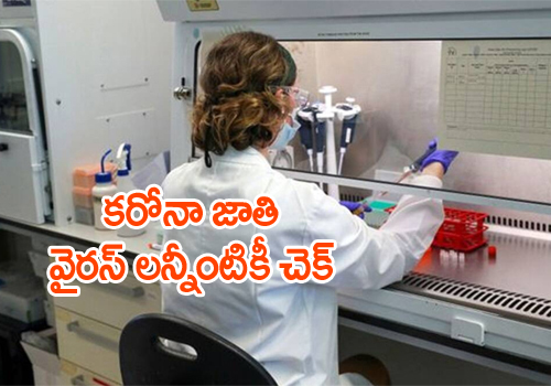 Cambridge begins trial for vaccine that will fight all Coronaviruses