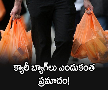 Plastic Bags Pollution