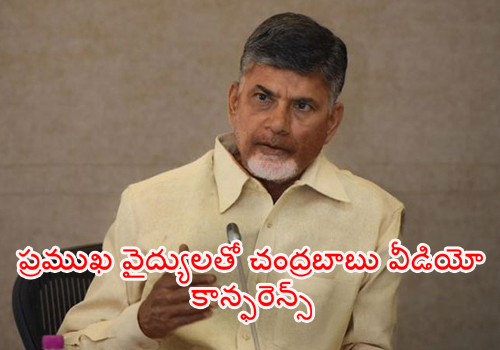 Chandrababu Video Conference with Doctors