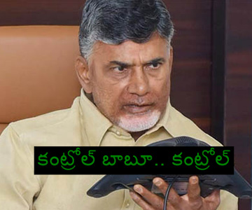 chandrababu teleconference over local body elections