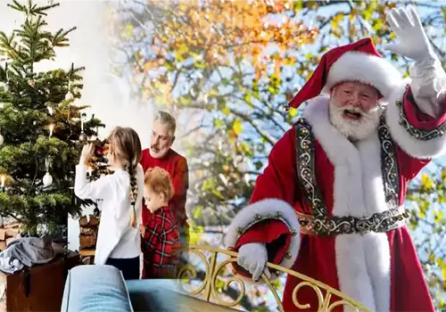 special story of chistmas tree