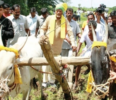 cm chandrababu