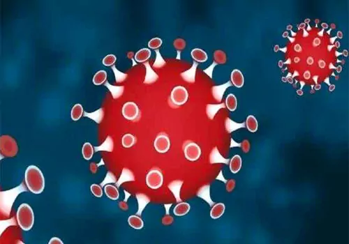 corana reached to endamic