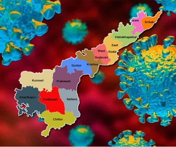 coronavirus cases in andhra pradesh