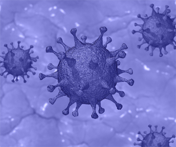 corona danger bells in telangana