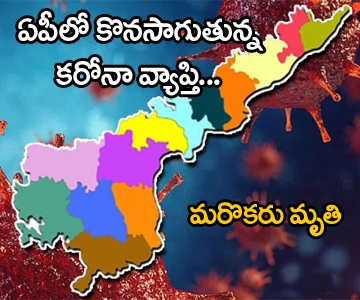 corona deaths in andhra pradesh