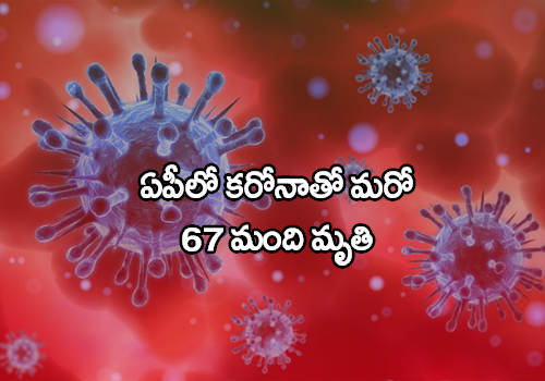 corona deaths in andhra pradesh
