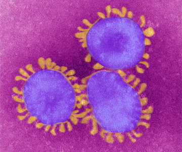 Coronavirus Signs And Symptoms On The Skin