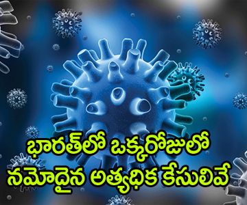 coronavirus cases in india